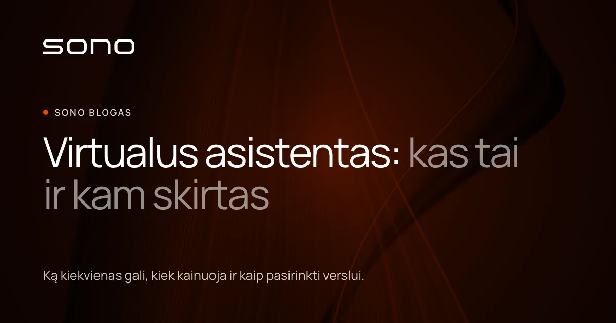 Sono viršelio vaizdas su tekstu „Virtualus asistentas: kas tai ir kam skirtas“ ir trumpa santrauka.